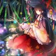 幻想乡辉夜