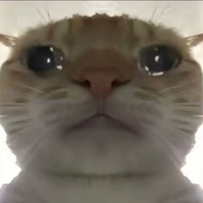 爱摄影的灰