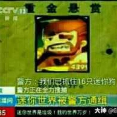 懒得取了h