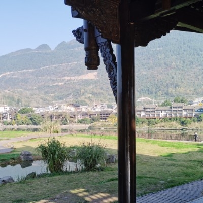 霉冬瓜