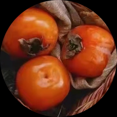 用户iajseaar