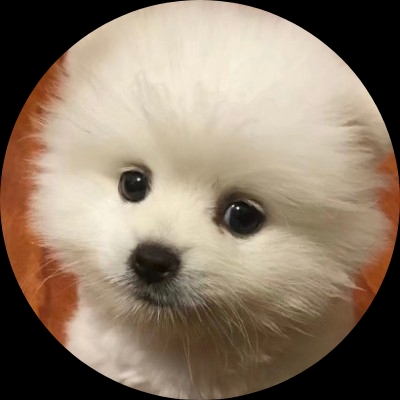 西装暴徒