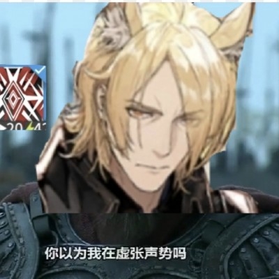 波斯猫po