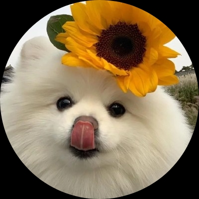 超级帅