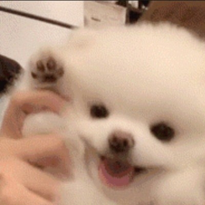 绯斩