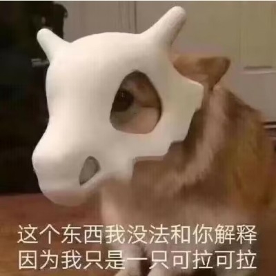 大白哥