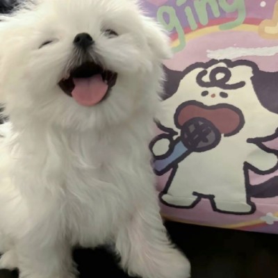 一号线