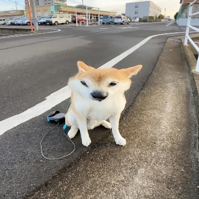 深海鳕鱼堡