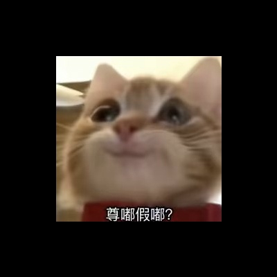 玖