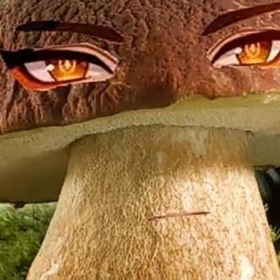 史