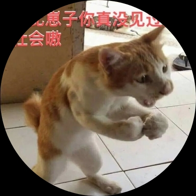 宇