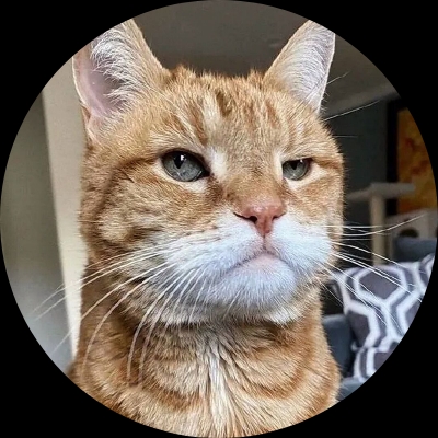 猫先生