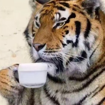 南苓