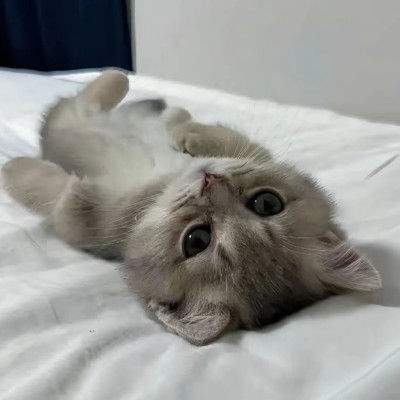 小淮