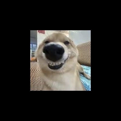 打滴打