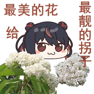 老干妈不会游泳b80
