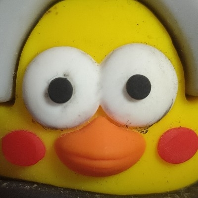 讱白