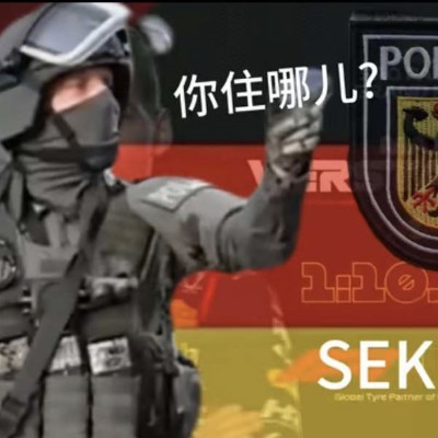 蛇羽
