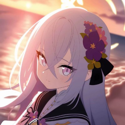 师
