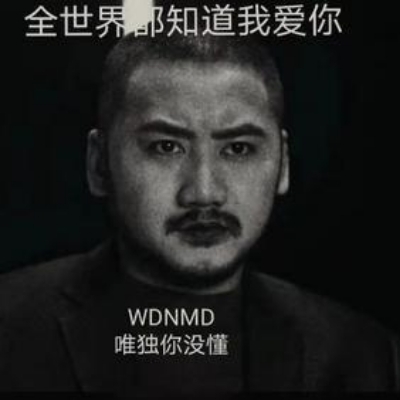 主理人气的爆炸l4