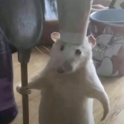 厨师鼠鼠