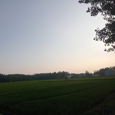 小吝