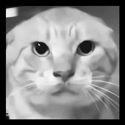 Medel