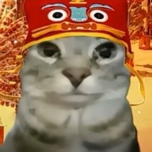 QAQ