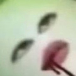 我滴妈呀