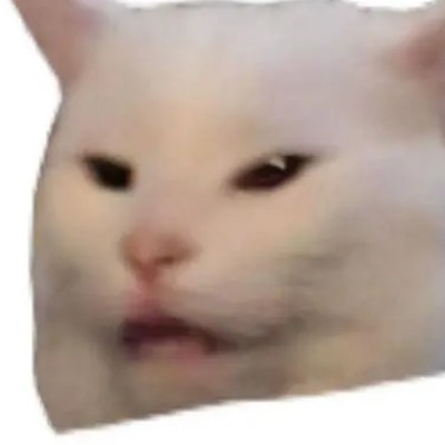惩戒鸟
