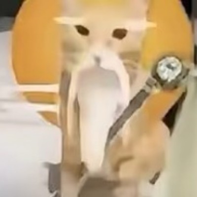 哈基仙人