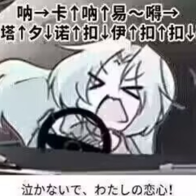 苏修灵猫