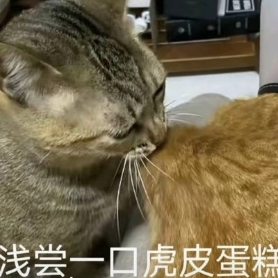葡萄