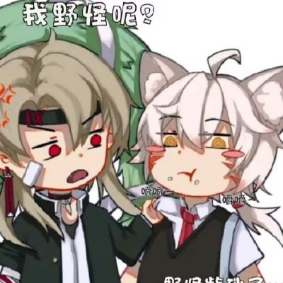 岚