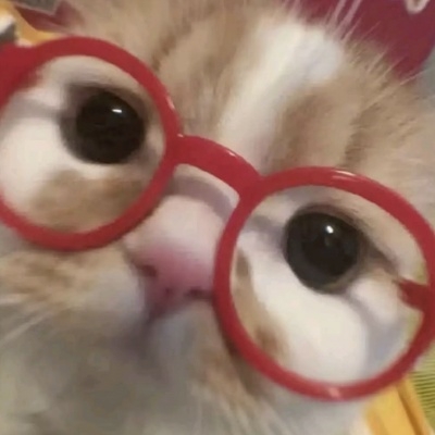 小小双鱼♓