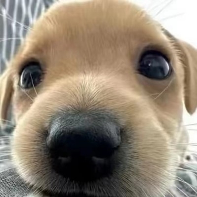 铁拐李独自闪耀i5