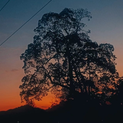 January