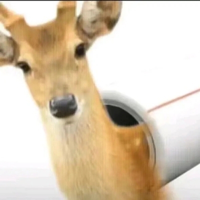 th44