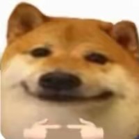 祝你每次出彩