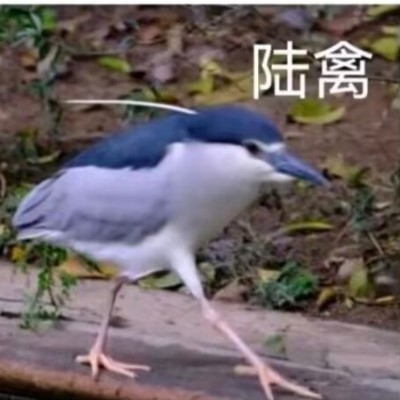 辛克莱我们喜欢你