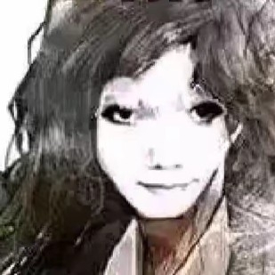 野性的搬砖人q559