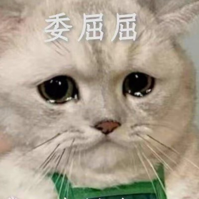 想当欧皇的霉比