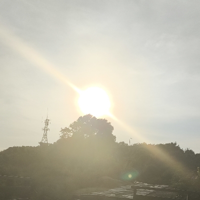 环指点彩派学徒