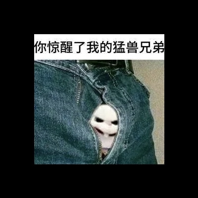 锐志兔头
