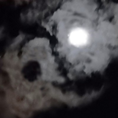 不平等的世间