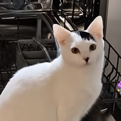 白荻