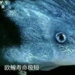 樗琅
