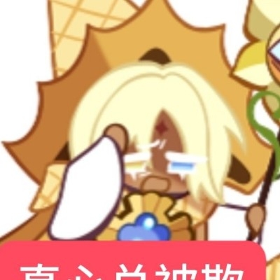 追星的大神u5