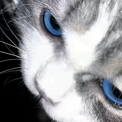 封玦