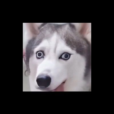 伯乐亿亿四五